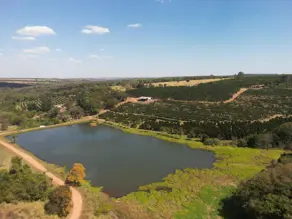 Fazenda Praça José Lobo, Bela Vista de Goiás - GO — foto 2