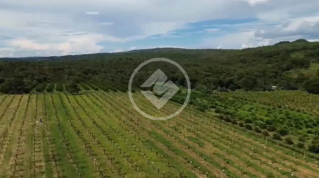 Imagem 1 - Sítio em Área Rural de Piracanjuba, Piracanjuba - GO