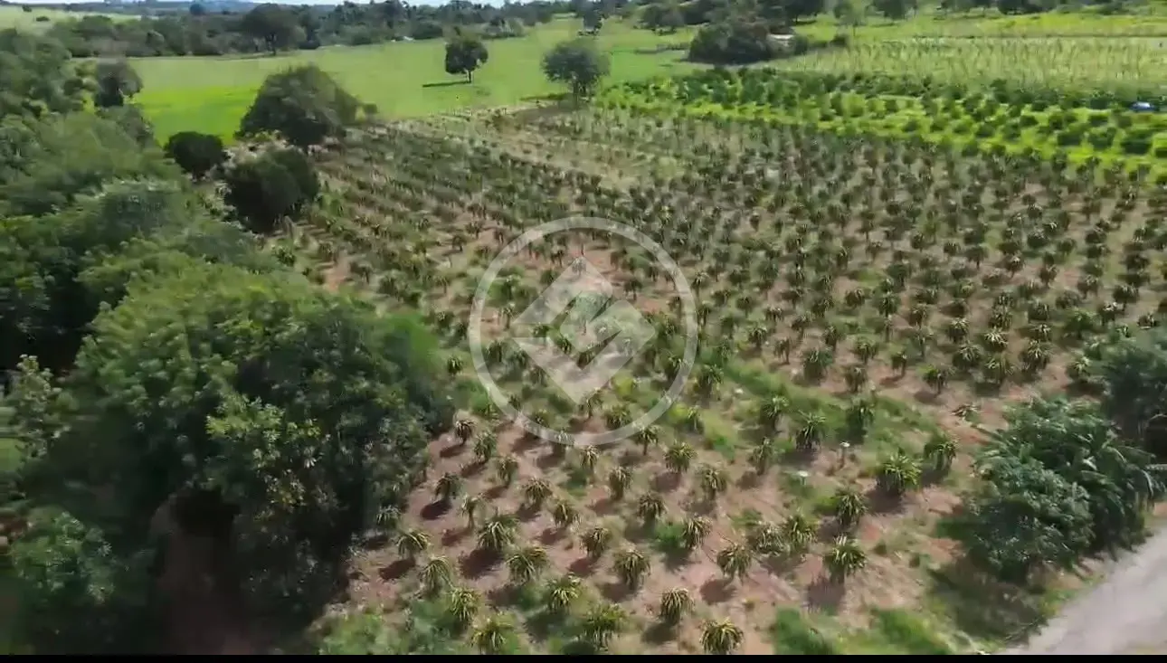 Image 2 - Sítio em Área Rural de Piracanjuba, Piracanjuba - GO