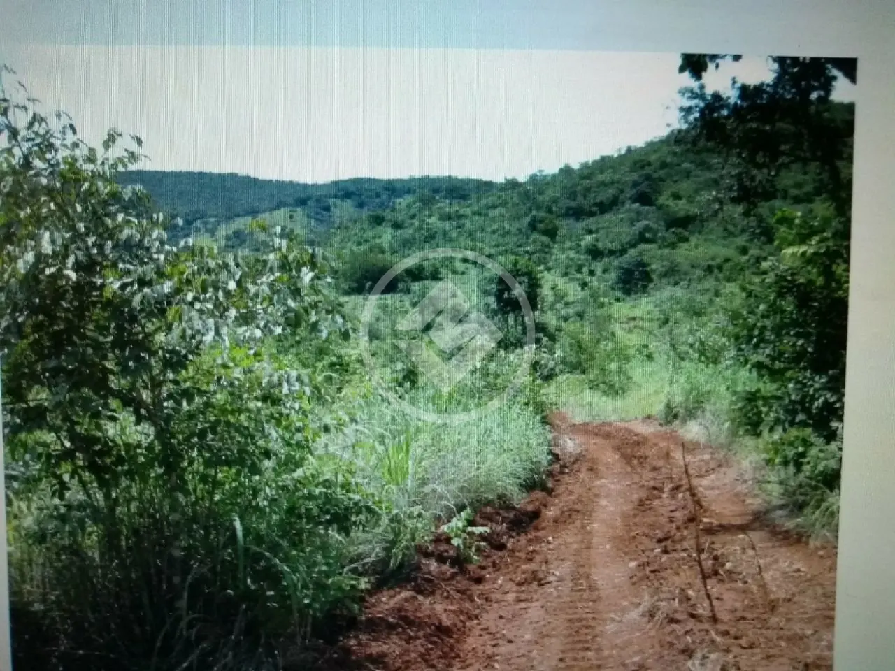 Imagem 2 - Fazenda em Fazenda Três Barras, Barro Alto - GO