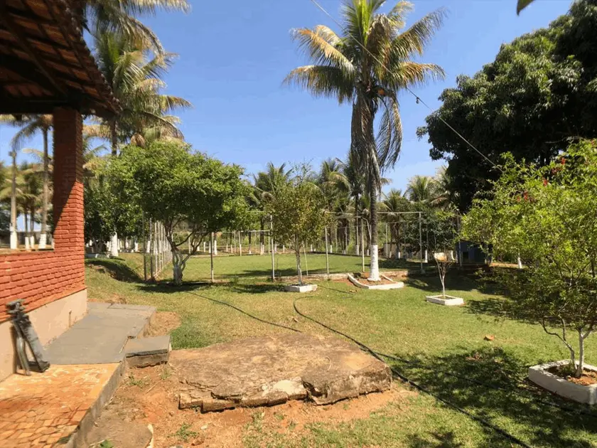 Imagem 6 - Chácara em Setor Grajaú, Goiânia - GO