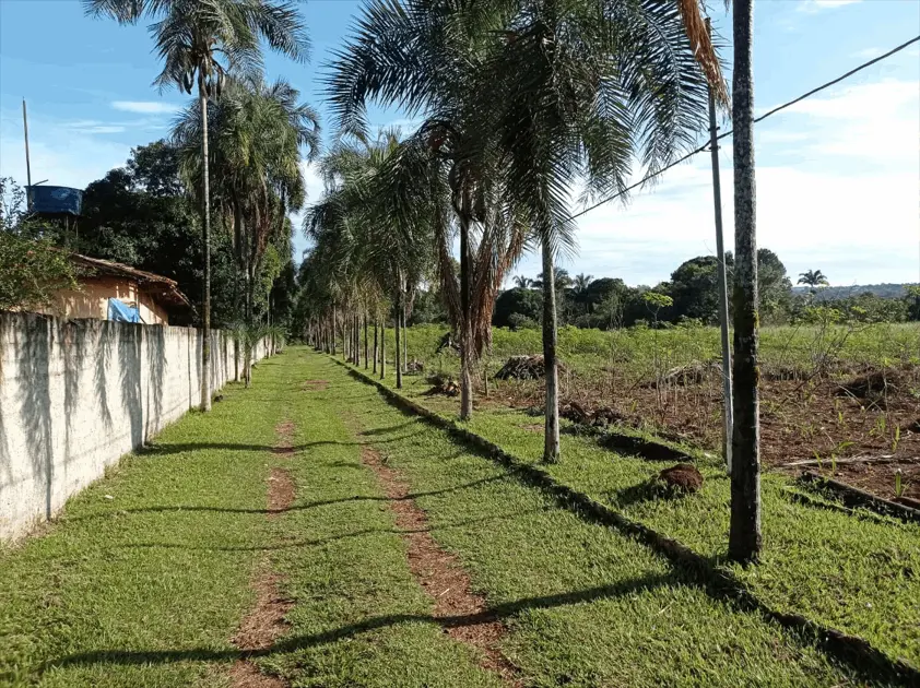 Chácara Chácaras São Pedro, Aparecida de Goiânia - GO — foto 1