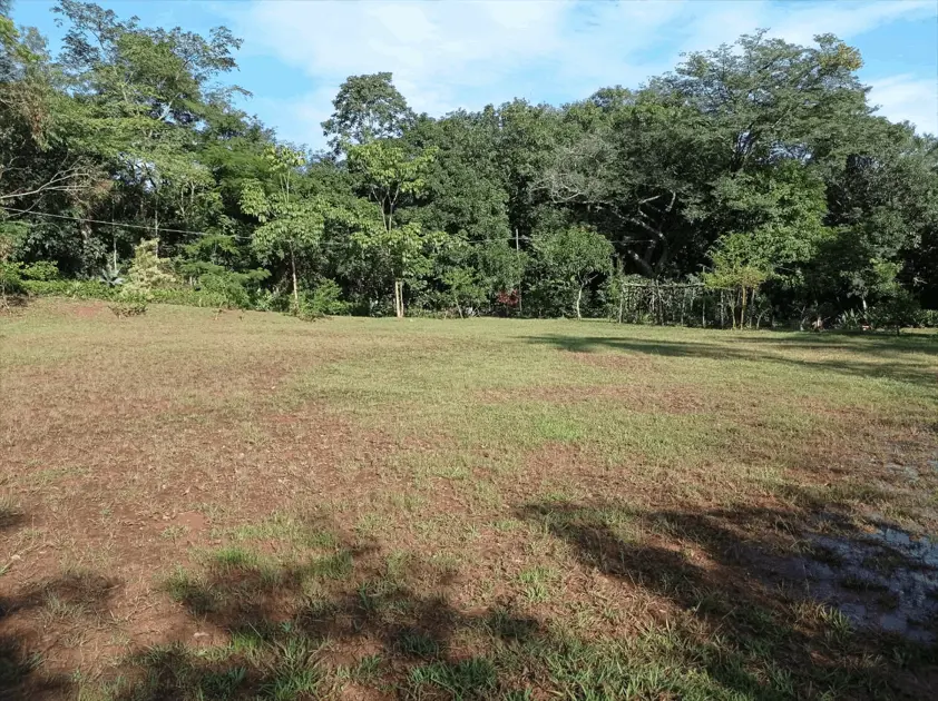 Imagem 5 - Chácara em Chácaras São Pedro, Aparecida de Goiânia - GO