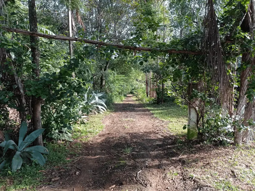 Imagem 6 - Chácara em Chácaras São Pedro, Aparecida de Goiânia - GO
