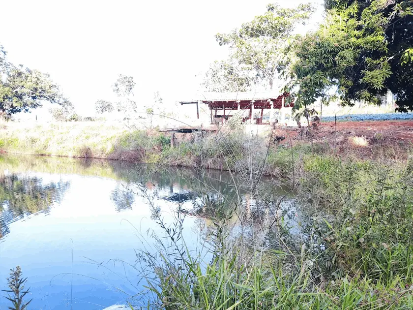 Imagem 5 - Chácara em Parque Bom Jesus, Goiânia - GO
