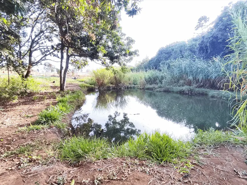 Imagem 6 - Chácara em Parque Bom Jesus, Goiânia - GO