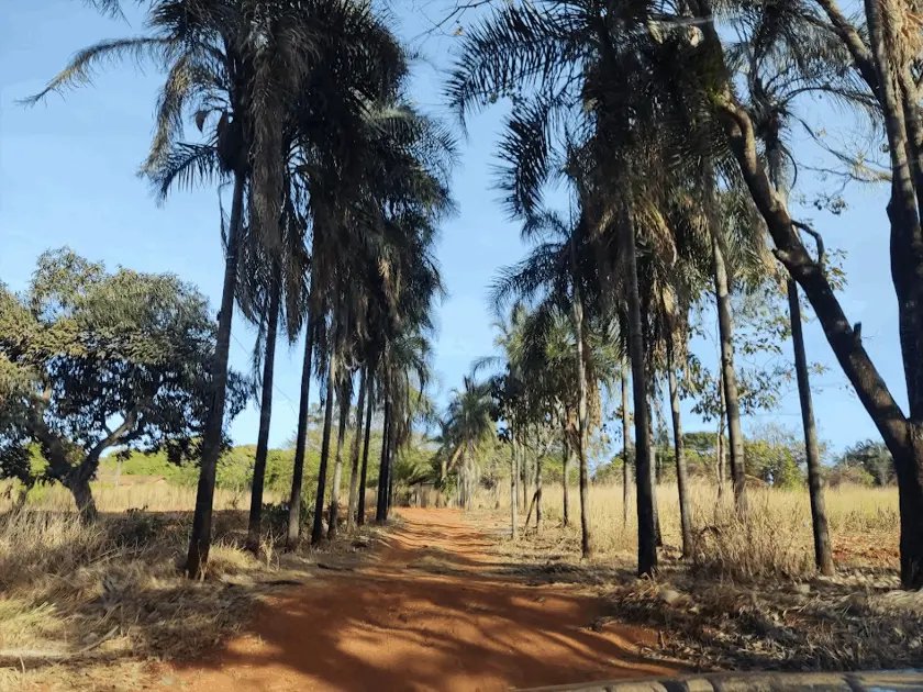 Image 19 - Chácara em Parque Bom Jesus, Goiânia - GO