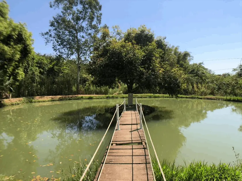 Chácara Setor Grajaú, Goiânia - GO — foto 1