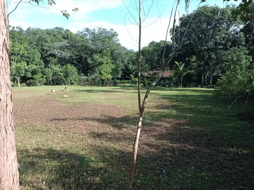 Chácara Chácaras São Pedro, Aparecida de Goiânia - GO — foto 2