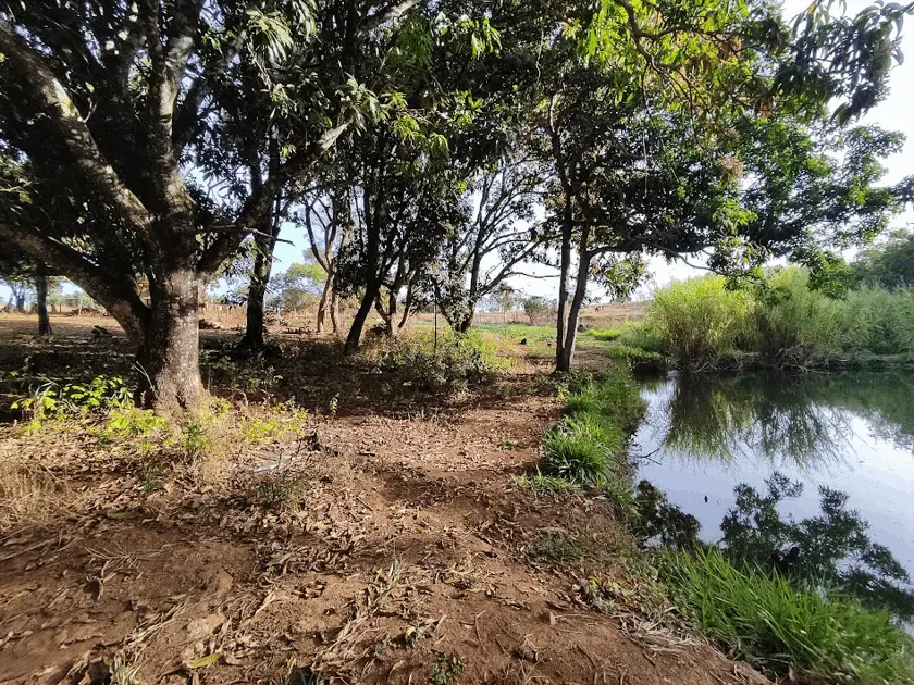 Chácara Parque Bom Jesus, Goiânia - GO — foto 1