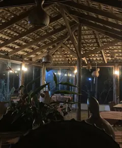 Imagem 3 - Fazenda em Centro, Serranópolis - GO
