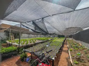Terreno MORADA DO SOL, Jataí - GO — foto 2