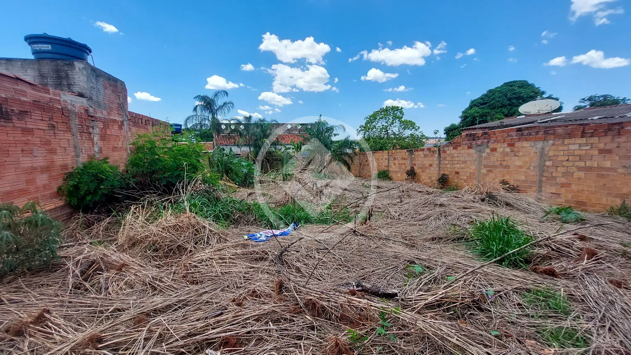 Imagem 1 - Terreno em Dom Abel, Jataí - GO