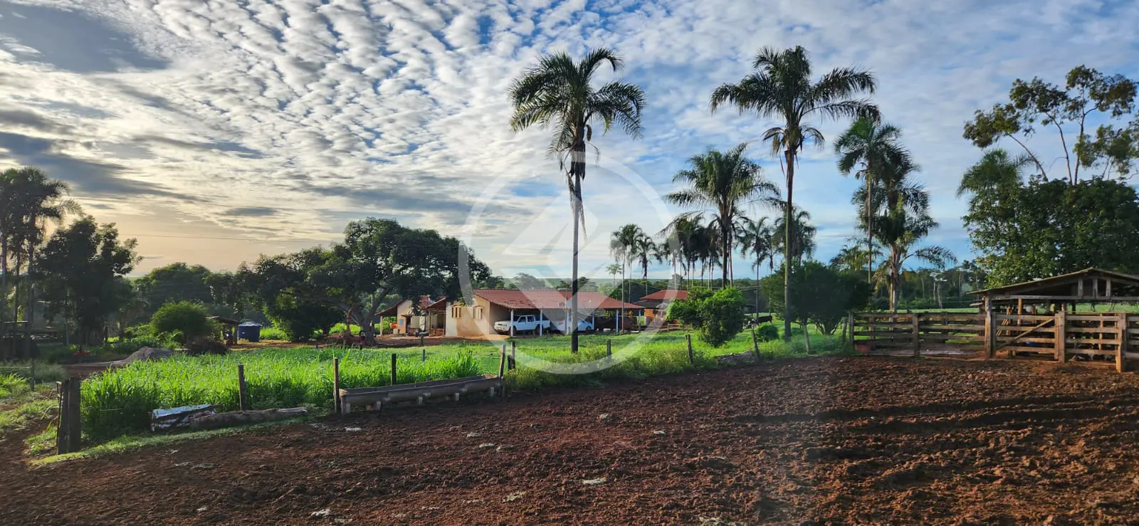Sítio Área Rural de Jataí, Jataí - GO — foto 1