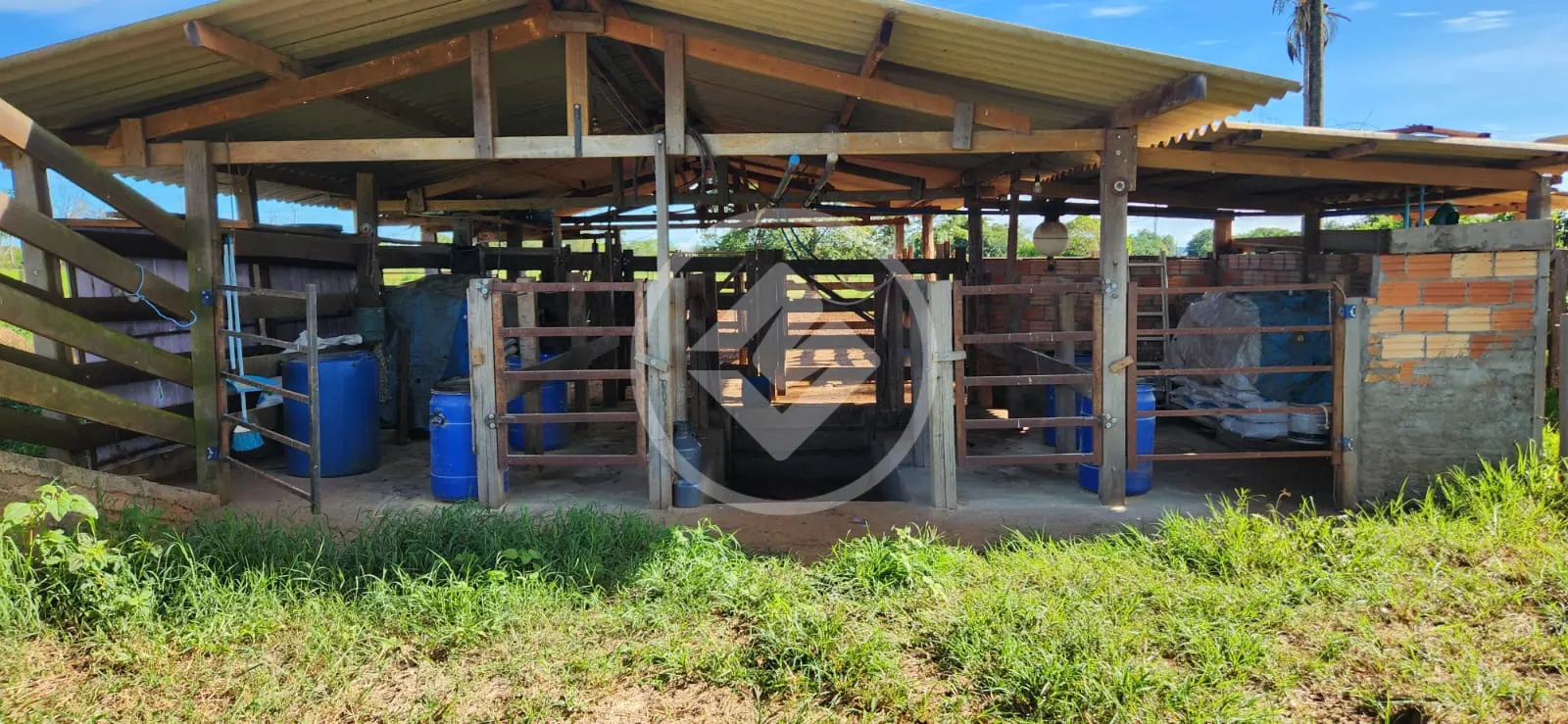 Imagem 6 - Sítio em Área Rural de Jataí, Jataí - GO