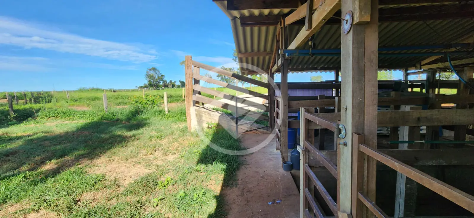 Imagem 5 - Sítio em Área Rural de Jataí, Jataí - GO