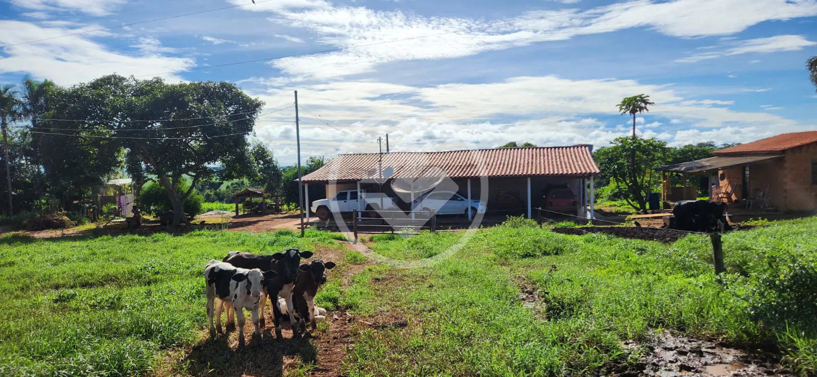 Imagem 4 - Sítio em Área Rural de Jataí, Jataí - GO