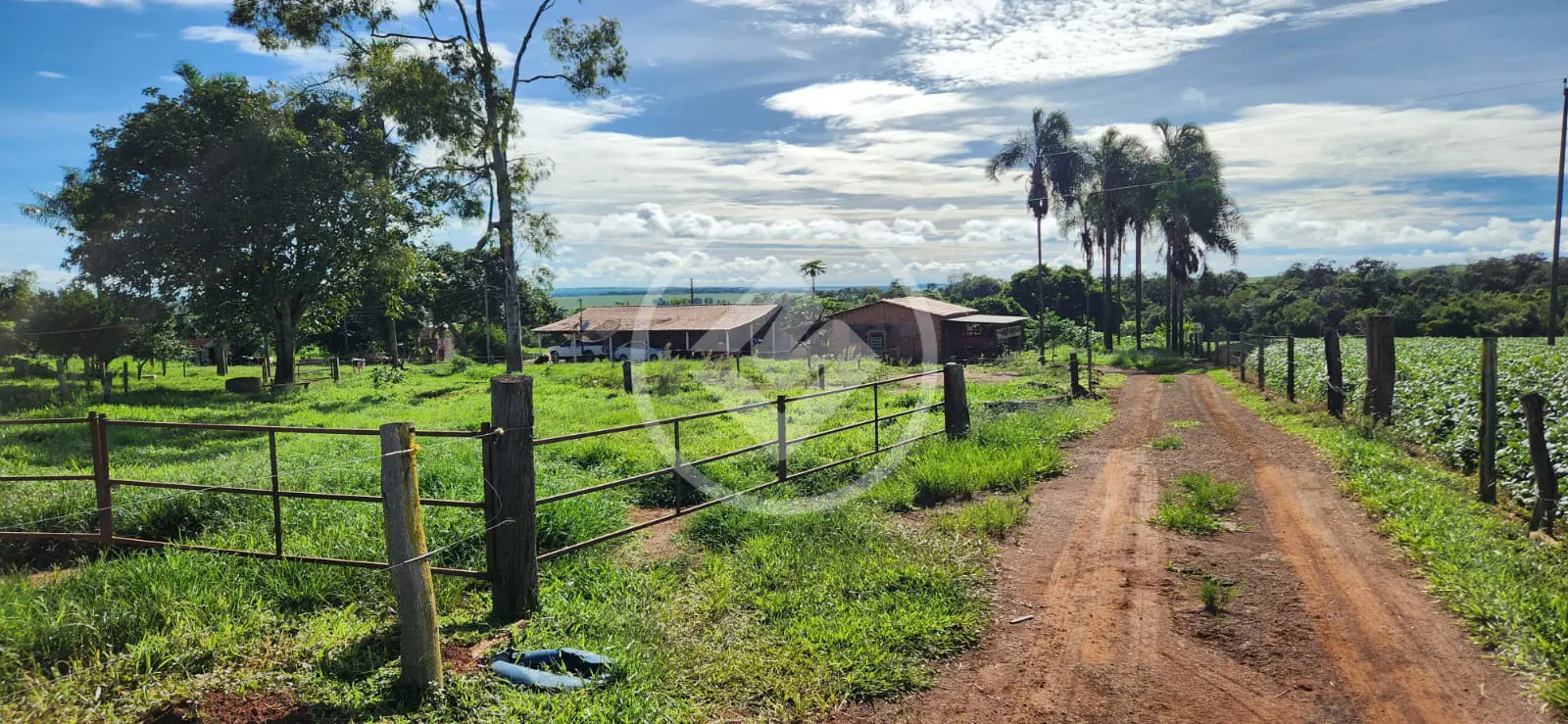 Sítio Área Rural de Jataí, Jataí - GO — foto 2