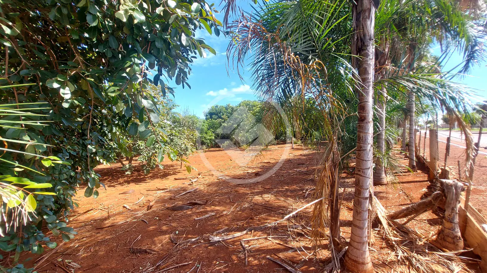Imagem 3 - Chácara em Área Rural de Jataí, Jataí - GO