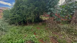 Terreno Vila Fátima, Jataí - GO — foto 2