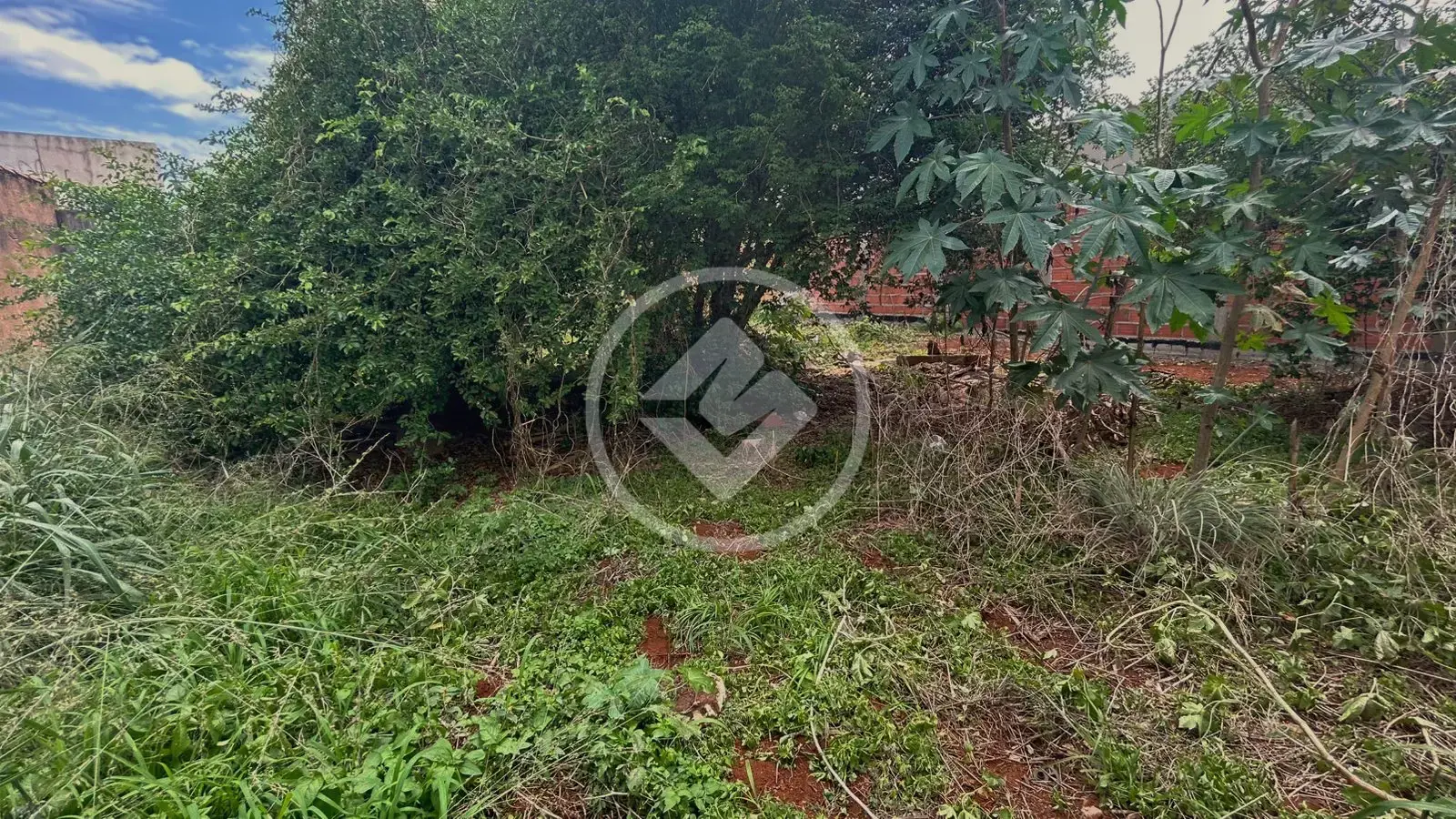 Imagem 1 - Terreno em Vila Fátima, Jataí - GO