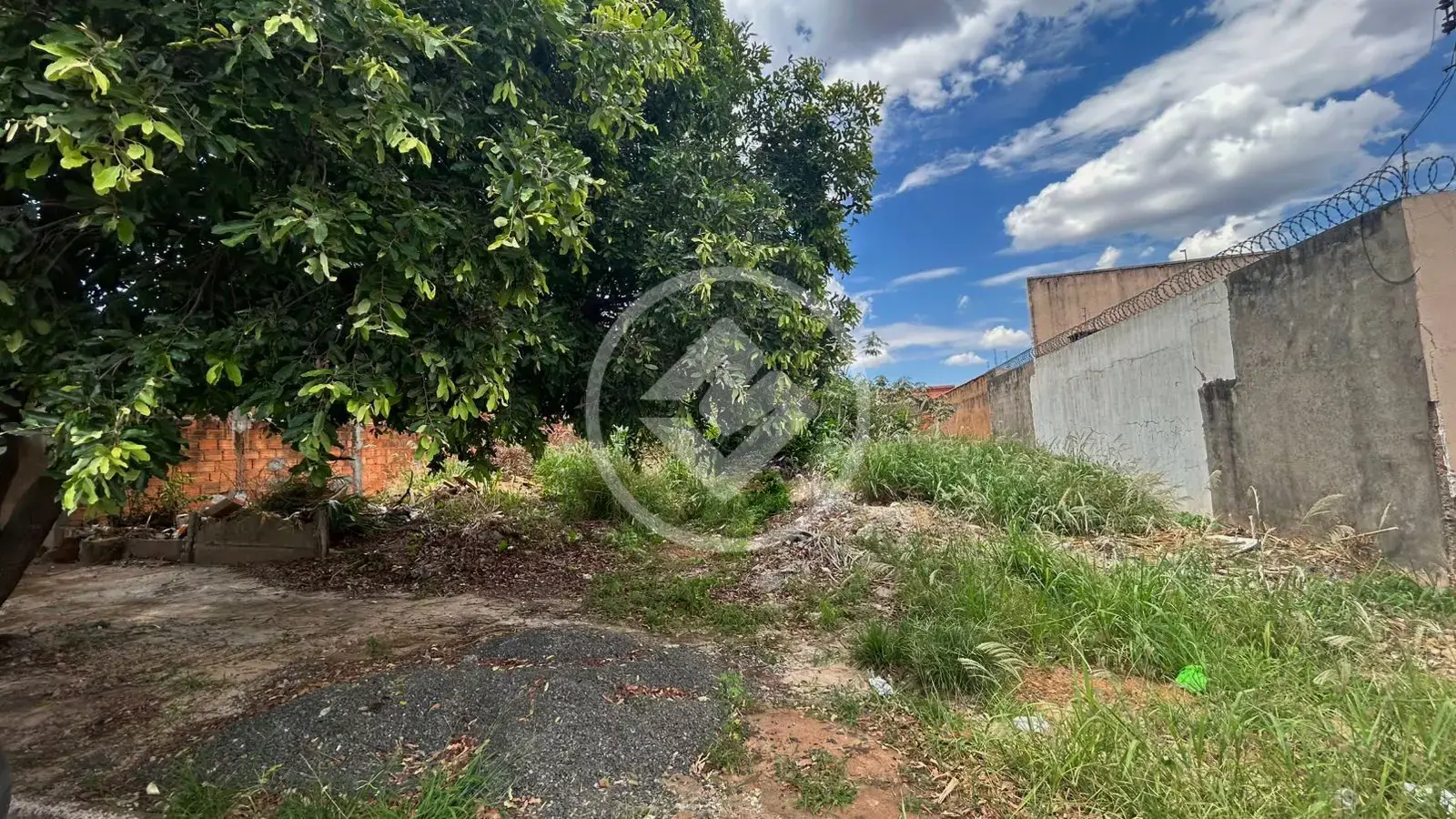 Imagem 3 - Terreno em Vila Fátima, Jataí - GO