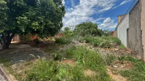 Imagem 4 - Terreno em Vila Fátima, Jataí - GO