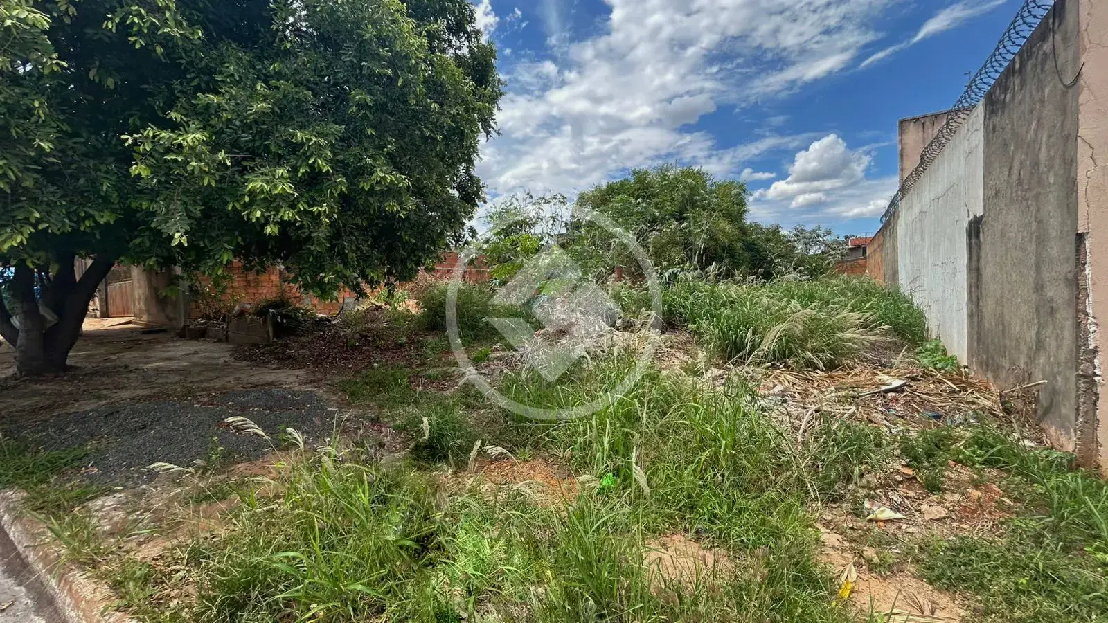 Imagem 4 - Terreno em Vila Fátima, Jataí - GO