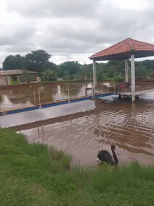 Imagem 2 - Fazenda em Naveslândia, Jataí - GO