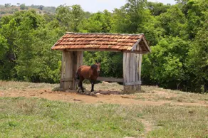 Fazenda Jardim Por do Sol, Goianésia - GO — foto 2
