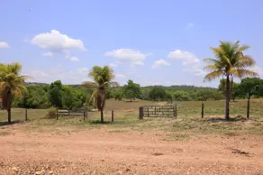 Imagem 5 - Fazenda em Jardim Por do Sol, Goianésia - GO
