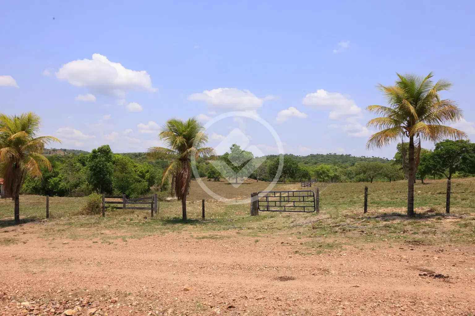 Imagem 5 - Fazenda em Jardim Por do Sol, Goianésia - GO