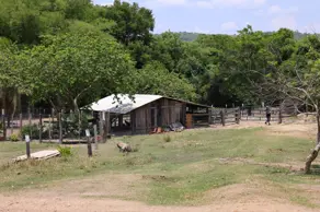 Imagem 3 - Fazenda em Jardim Por do Sol, Goianésia - GO