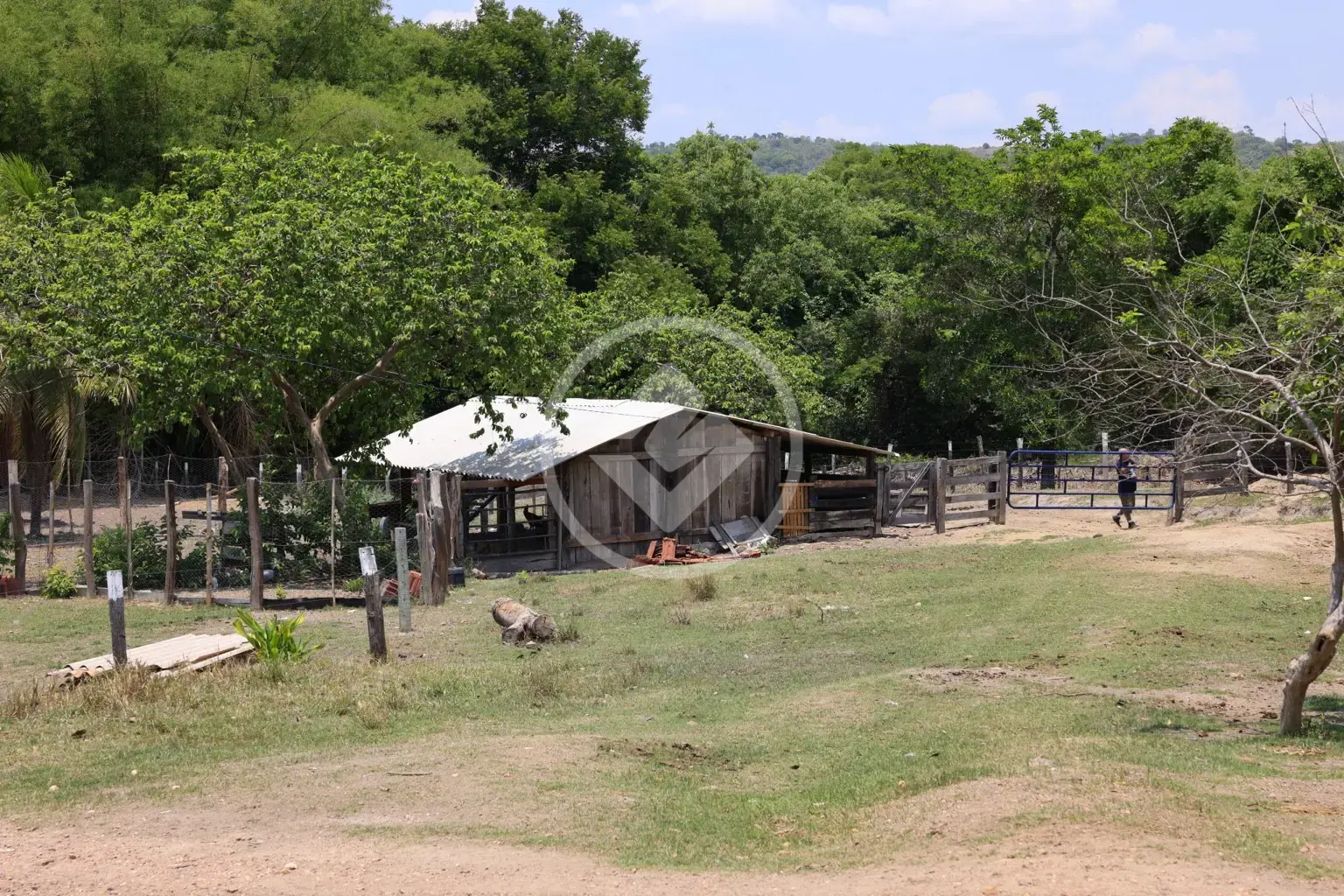 Imagem 3 - Fazenda em Jardim Por do Sol, Goianésia - GO