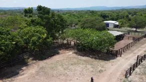 Imagem 6 - Fazenda em Jardim Por do Sol, Goianésia - GO