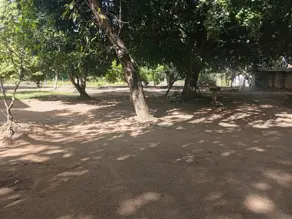 Sítio camaratuba, Mamanguape - PB — foto 2