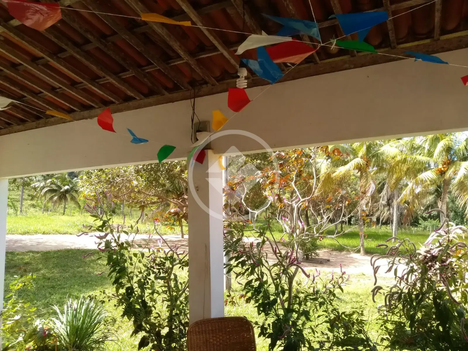Imagem 2 - Sítio em camaratuba, Mamanguape - PB