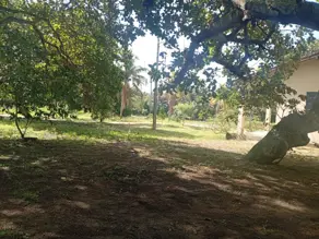Sítio camaratuba, Mamanguape - PB — foto 1