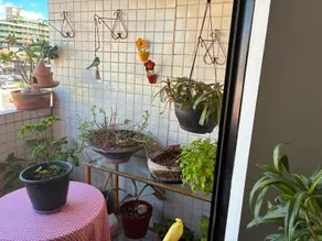 Imagem 5 - Apartamento em Jardim Oceania, João Pessoa - PB