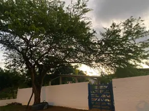 Imagem 4 - Fazenda em rural, Monteiro - PB