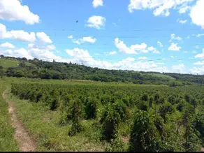 Imagem 2 - Chácara em Cidade Balneária Novo Mundo I, Conde - PB