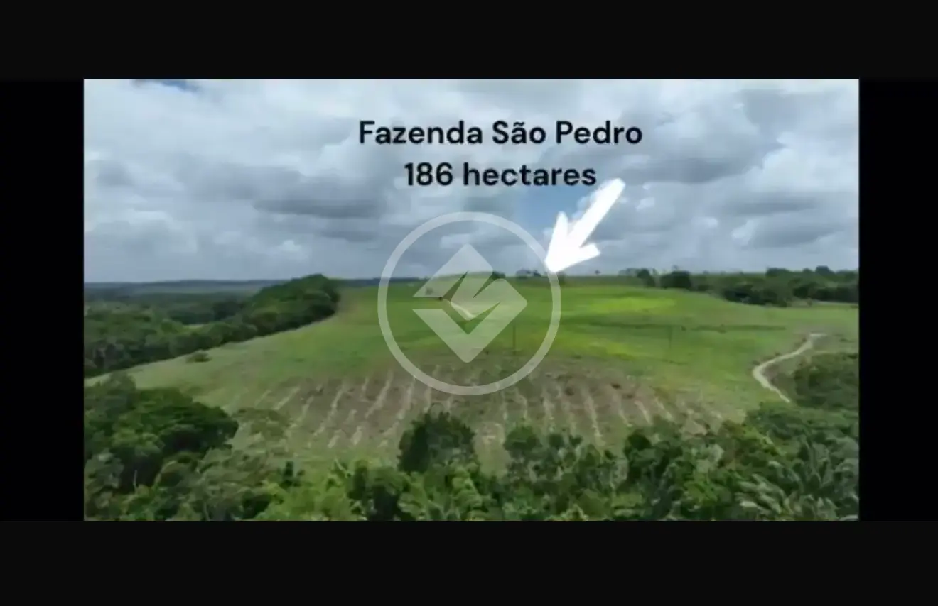 Imagem 1 - Fazenda em CENTRO, Alhandra - PB
