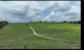 Imagem 3 - Fazenda em CENTRO, Alhandra - PB