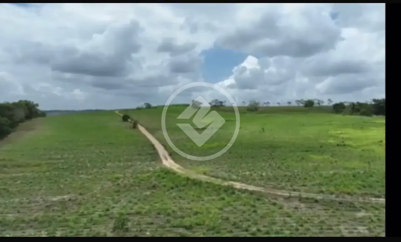 Image 4 - Fazenda em CENTRO, Alhandra - PB