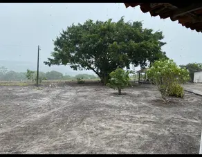 Imagem 2 - Fazenda em CENTRO, Alhandra - PB