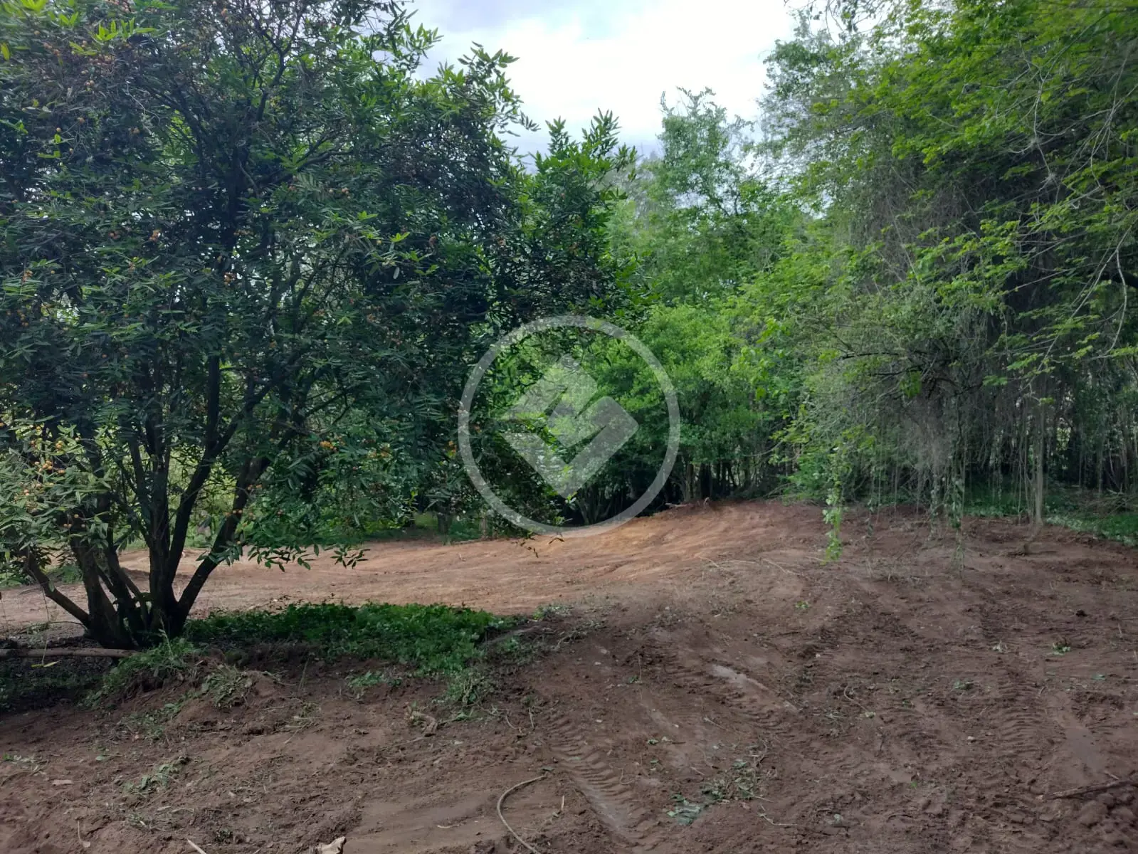 Imagem 5 - Chácara em Monterrey, Louveira - SP