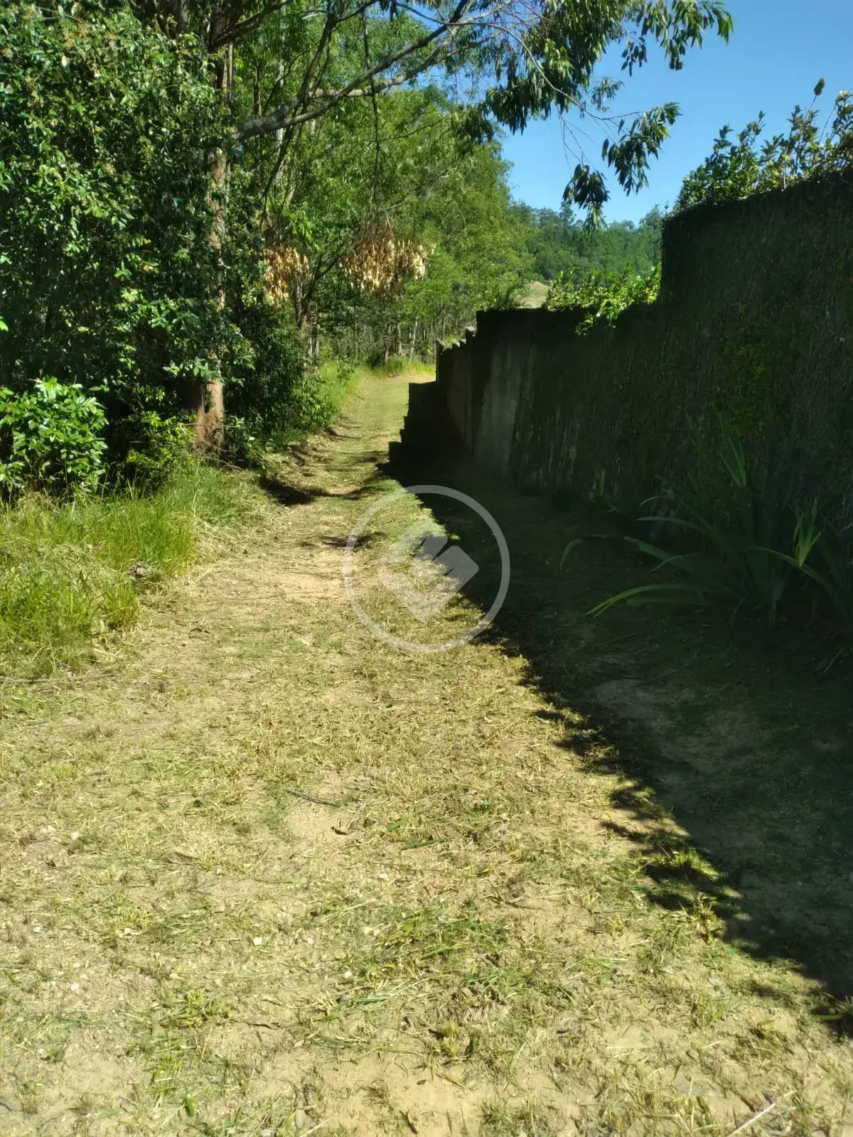 Image 21 - Sítio em Pinheirinho/Represa, Jundiaí - SP