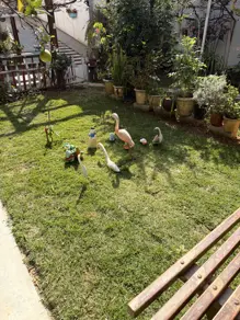 Imagem 2 - Casa em Jardim Paulista I, Jundiaí - SP