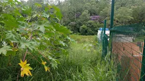 Imagem 3 - Terreno em Estância Yporanga, Jarinu - SP