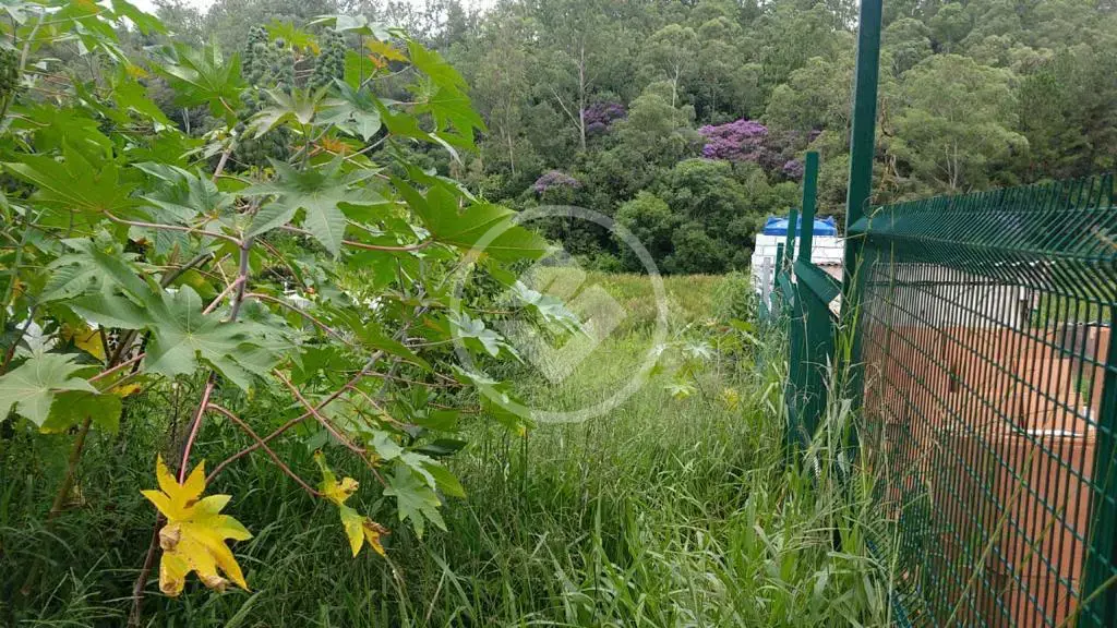 Image 4 - Terreno em Estância Yporanga, Jarinu - SP